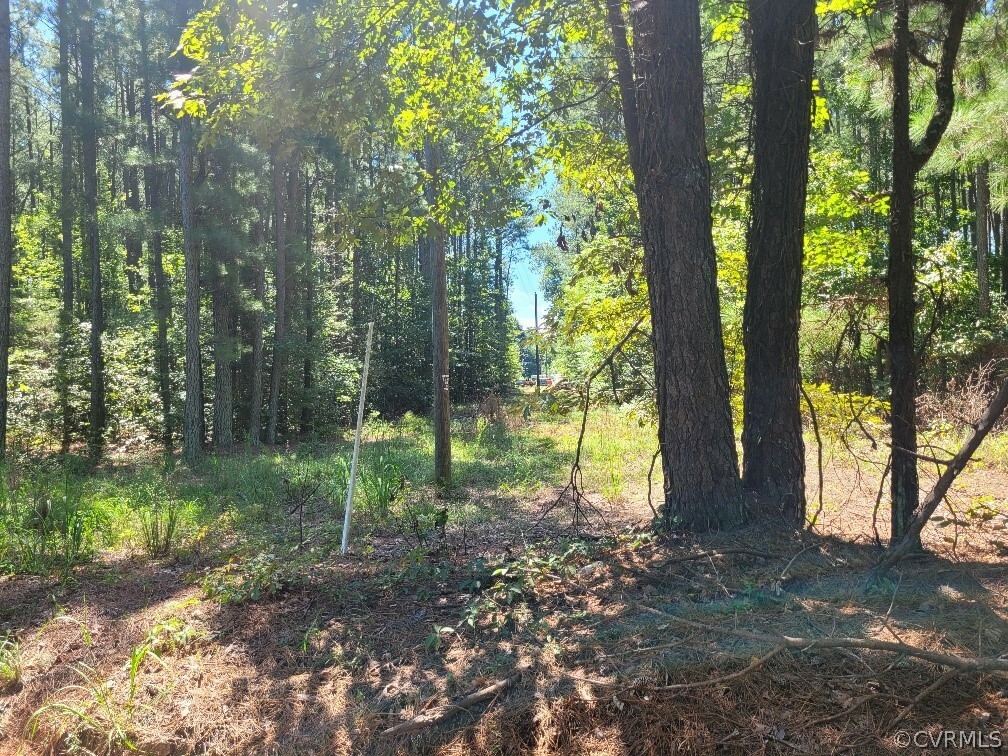 Property Photo: 000 Route 681 Concord Sappony Road VA 23884