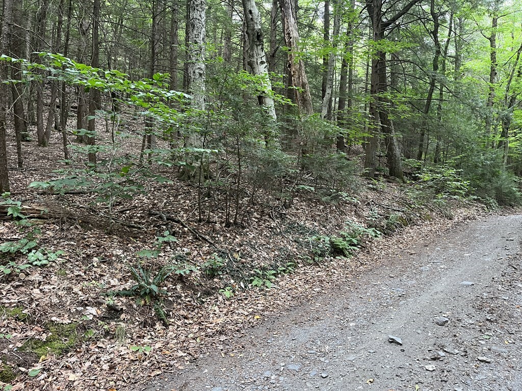 Property Photo: 0 West Mountain Rd MA 01337