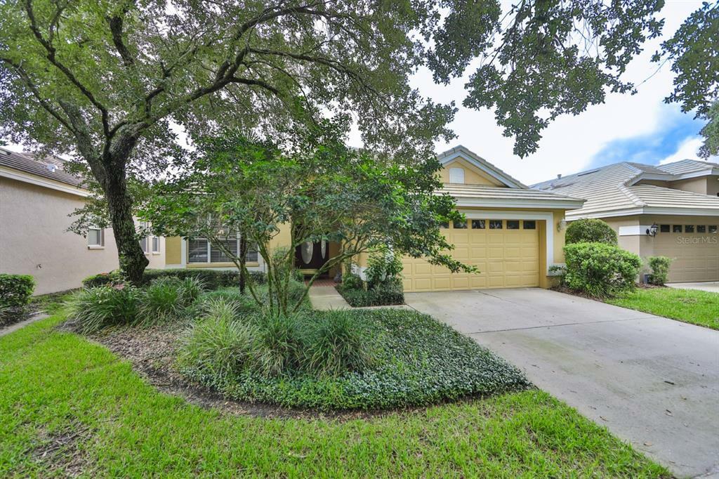 Property Photo:  17637 Nathans Drive  FL 33647 