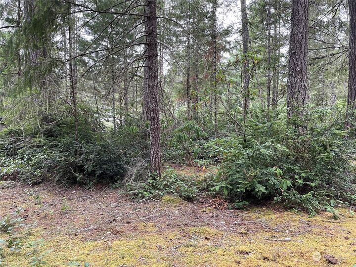 Property Photo:  1300 N Colony Surf Drive  WA 98555 