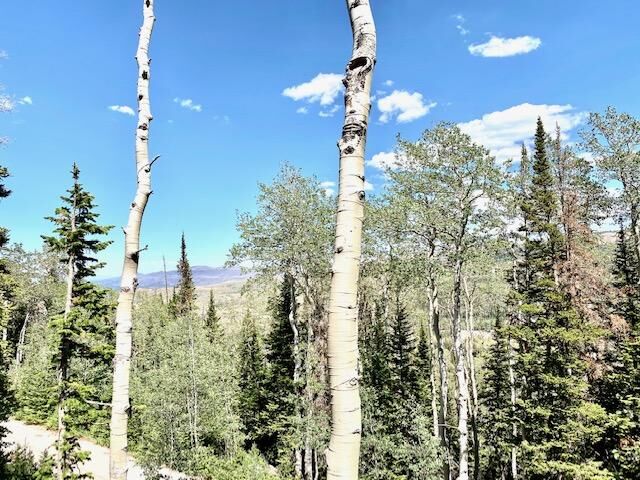 Property Photo: 695 W Hunter Ridge UT 84719