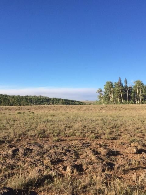 Property Photo:  24 Acres  On Kanarra Mountain  UT 84742 