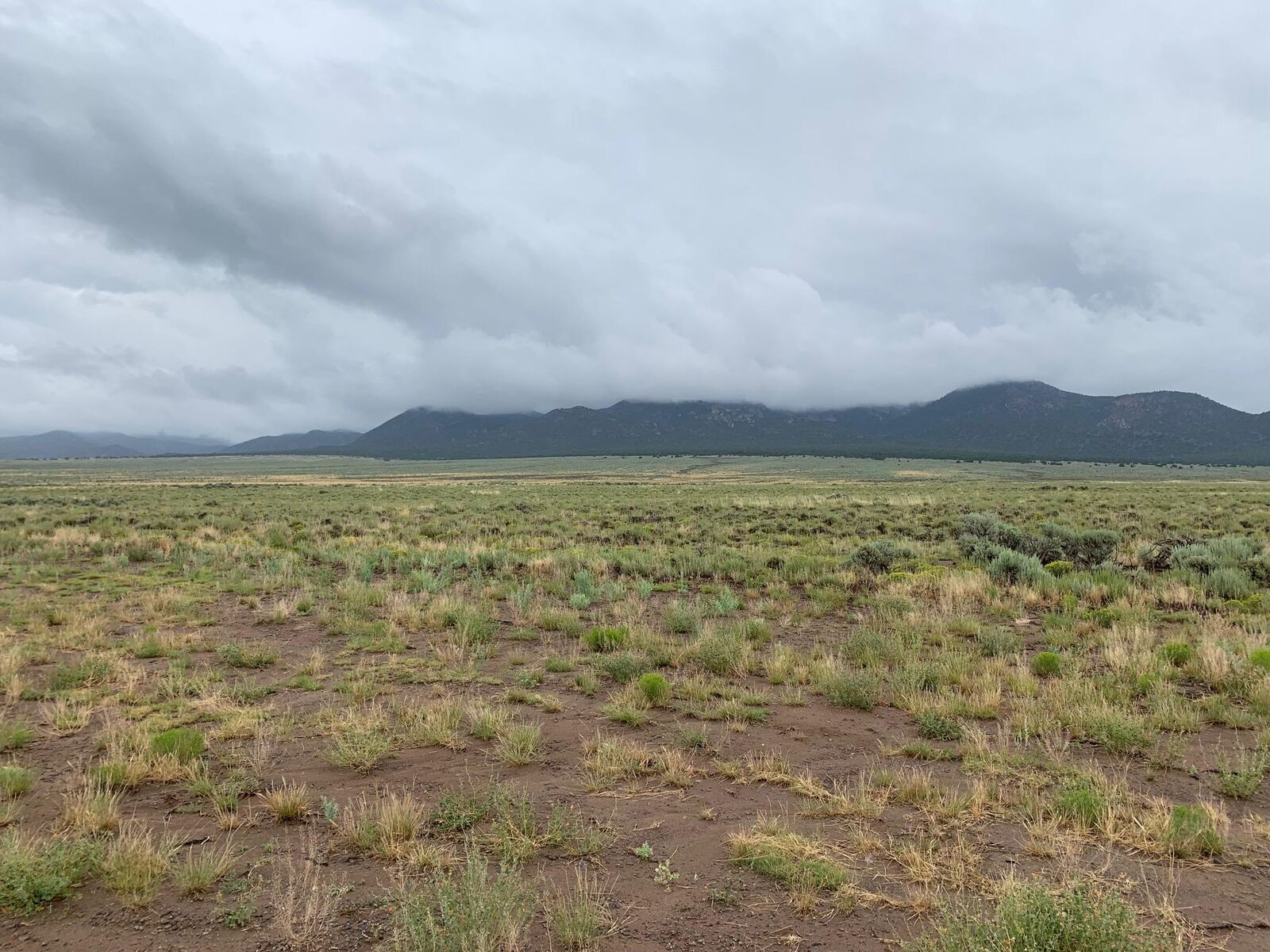 Property Photo:  3365 E 4200 N  UT 84759 