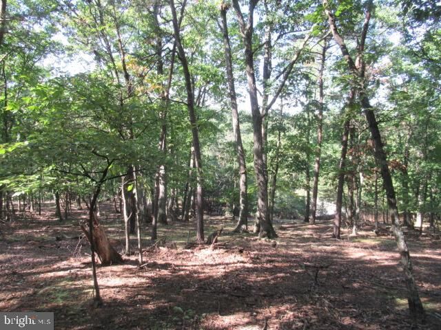 Property Photo:  Copperhead Lane  WV 26726 
