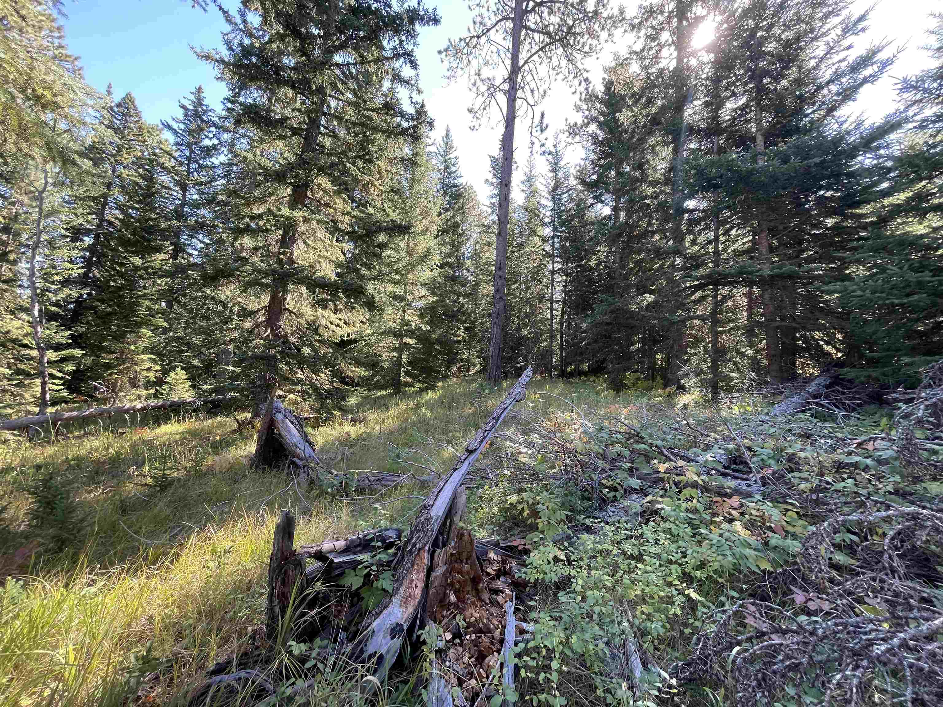 Property Photo:  Lot 33 Woodland Springs Road  SD 57754 