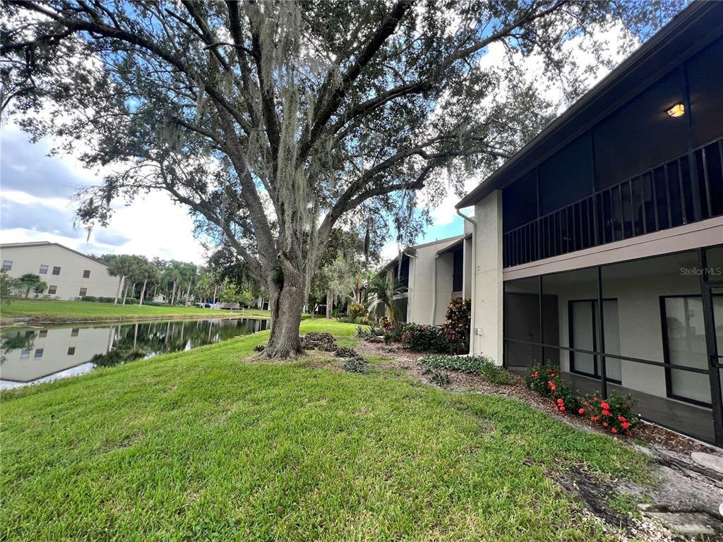 Property Photo:  744 White Pine Tree Road 204 B  FL 34285 