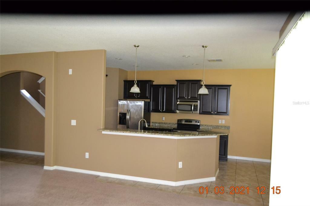 Property Photo:  20050 Date Palm Way  FL 33647 