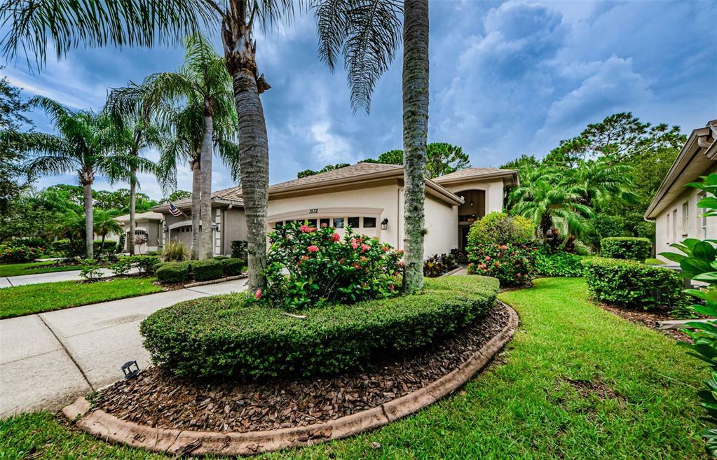 Property Photo:  1532 Woodstream Drive  FL 34677 