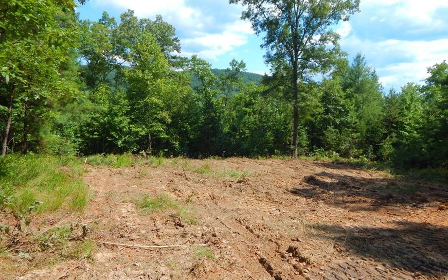 Property Photo:  00 Hothouse Road  NC 28906 