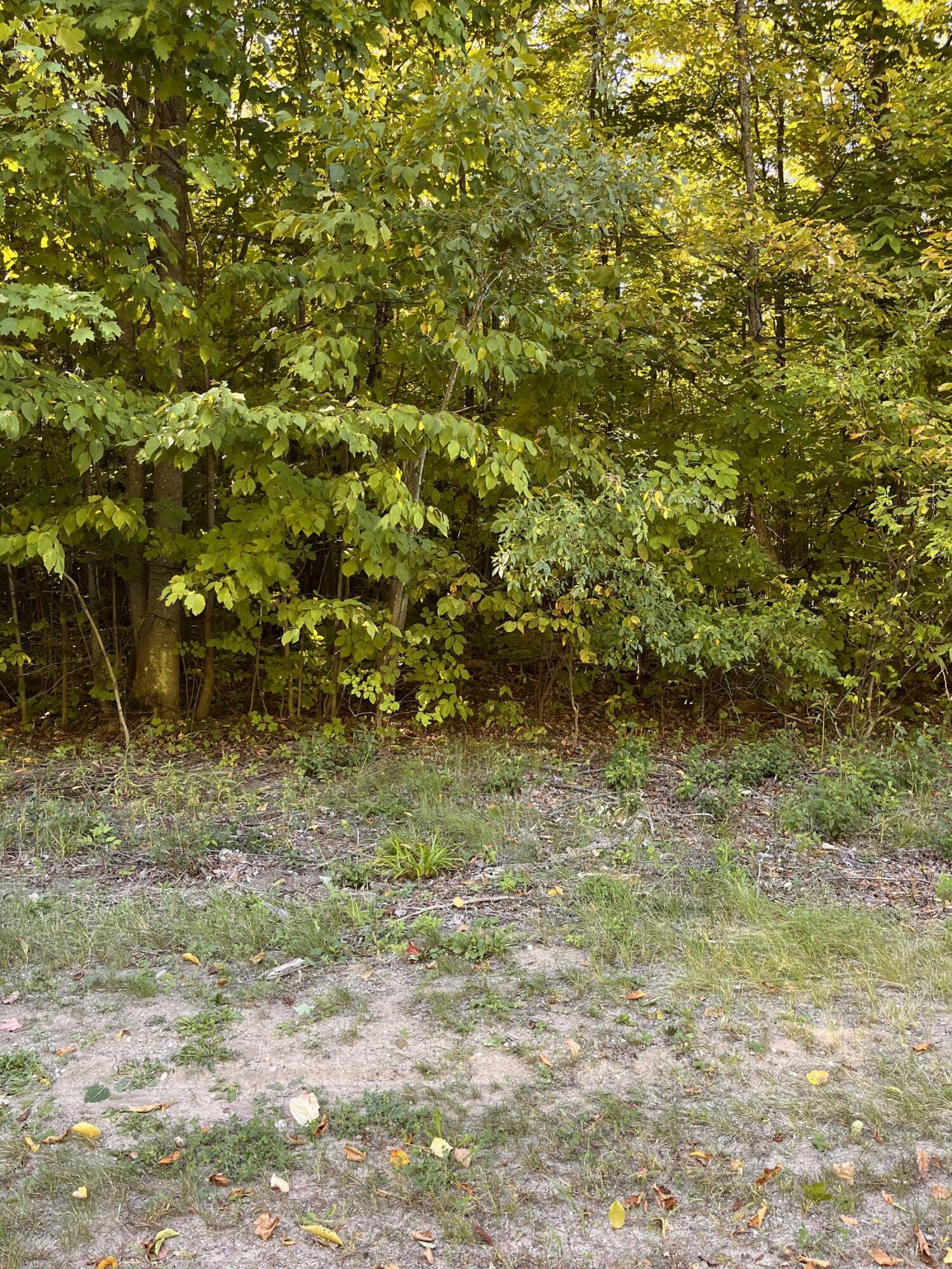 Property Photo:  Deerfield Drive Lot 4  MI 49738 