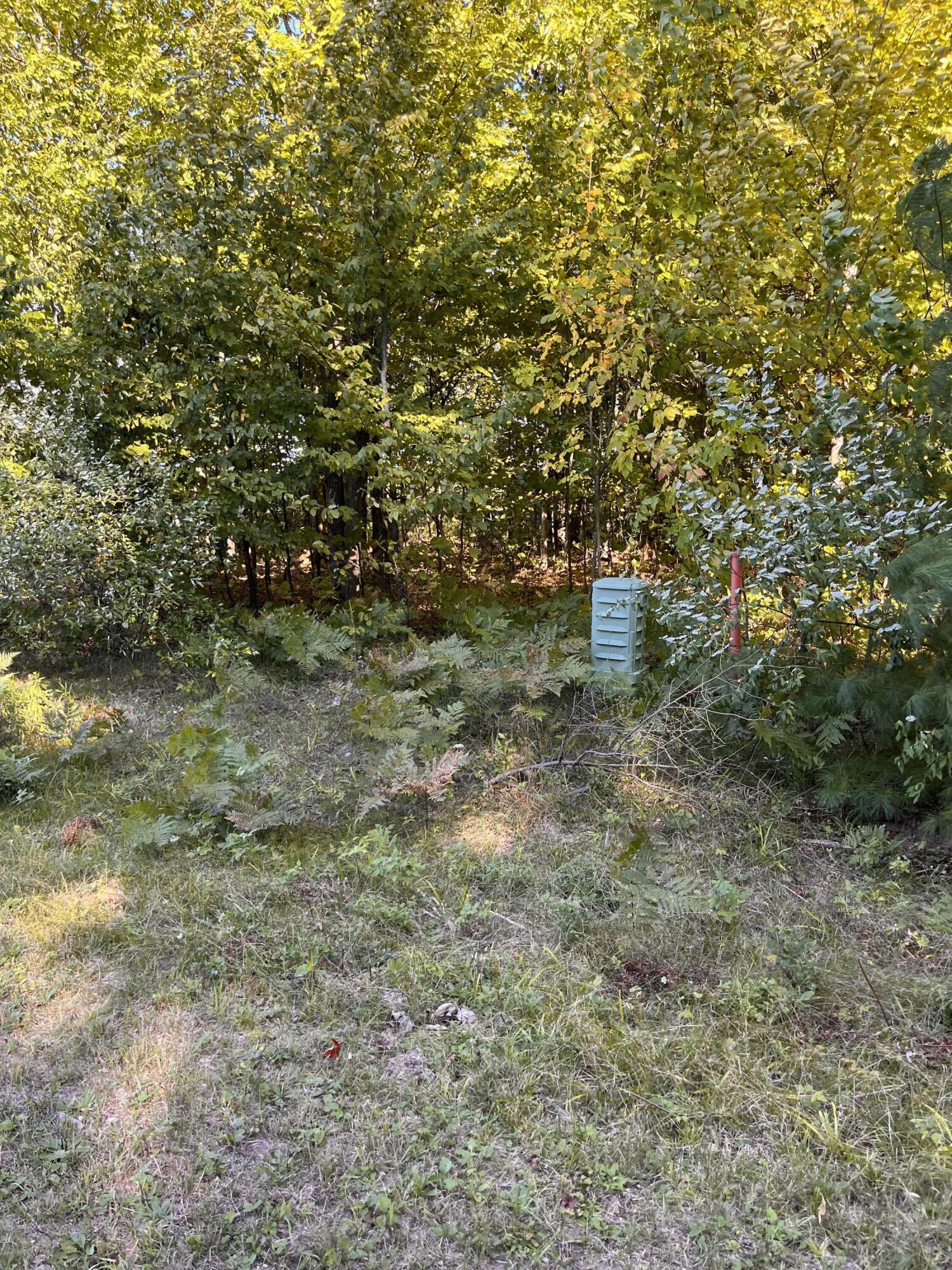 Property Photo:  Spring Velvet Court Lot 22  MI 49738 