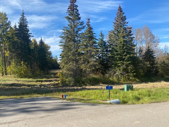Property Photo: 169 Meadow Ponds Drive AB T4T 2A2