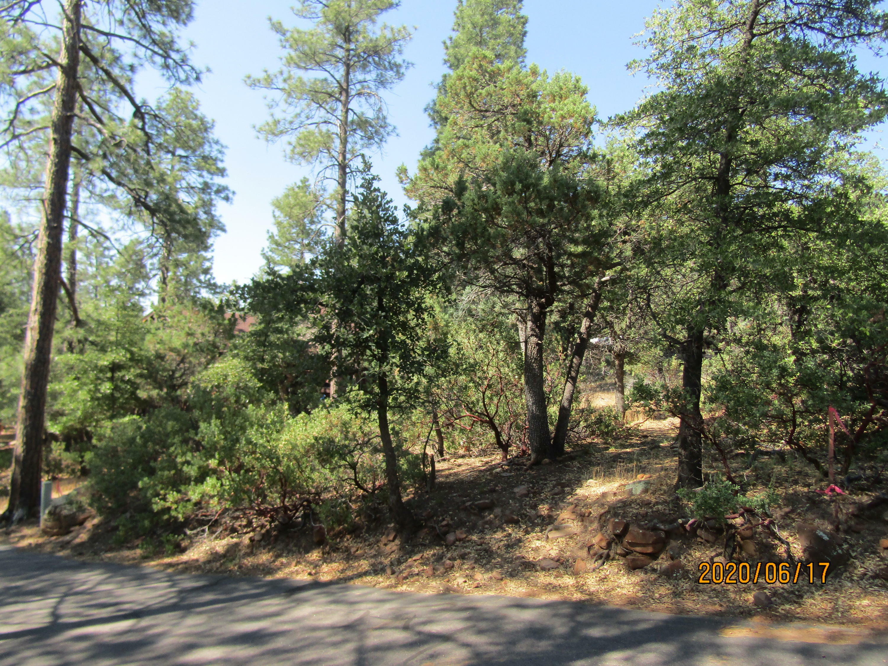 Property Photo:  Parcel B Pine Hollow  AZ 85544 