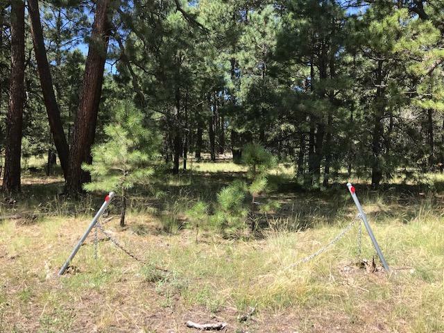 Property Photo:  3214 Larson Loop  AZ 85928 