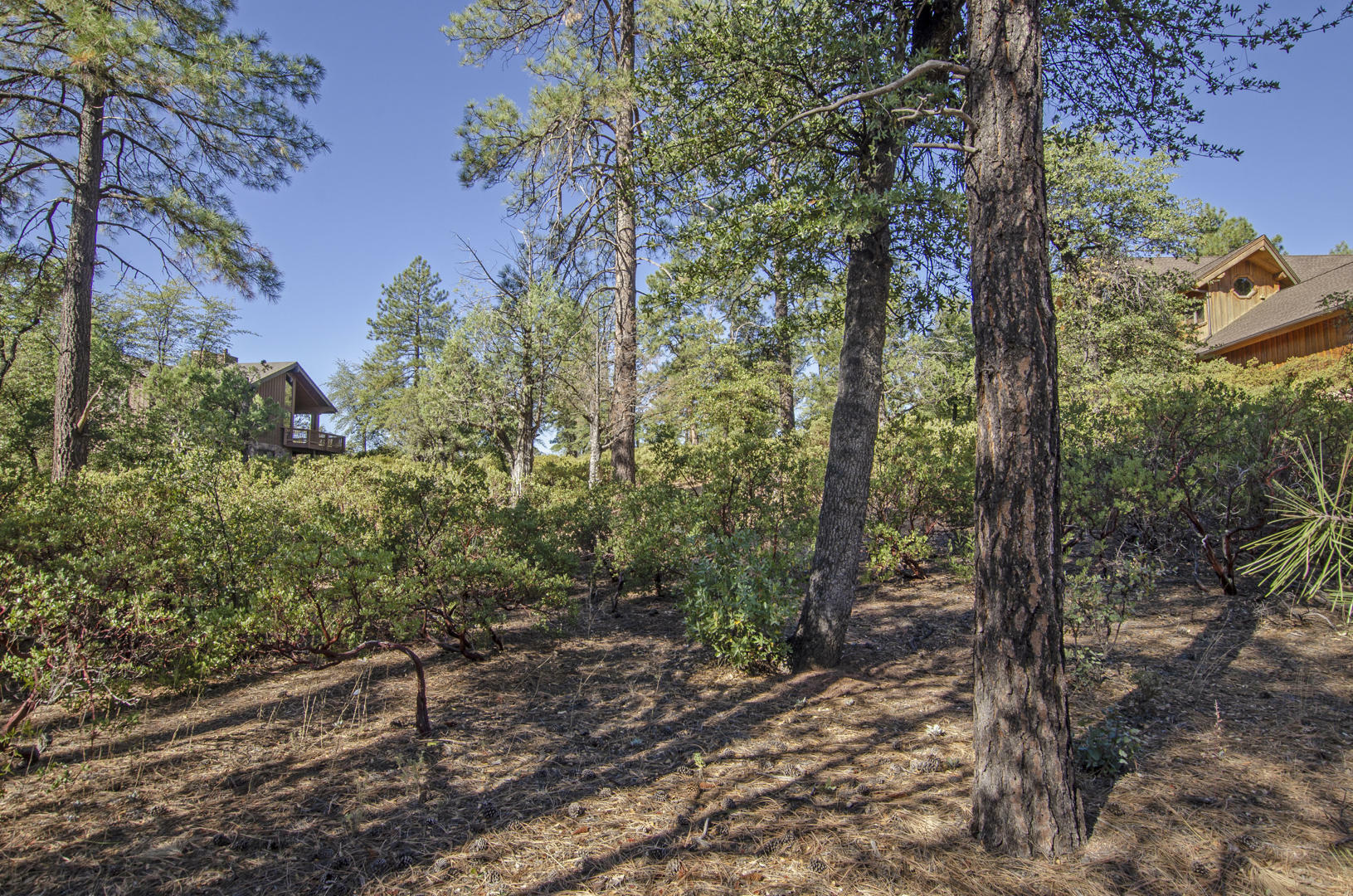 Property Photo:  606 N Club Drive  AZ 85541 