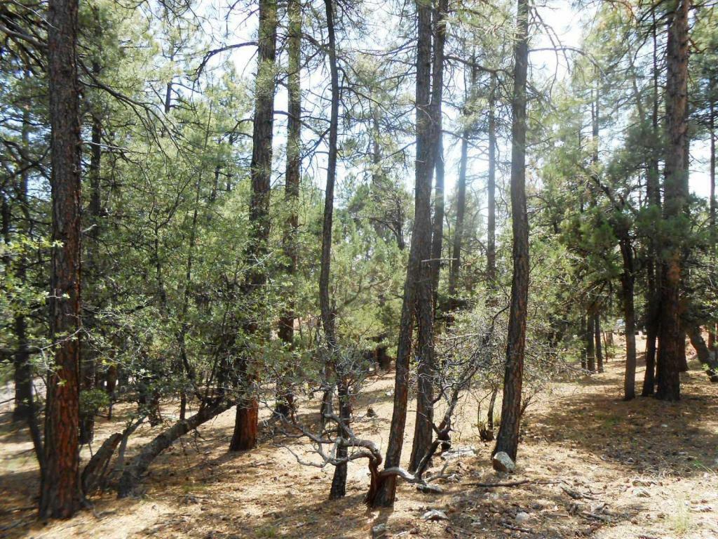 Property Photo:  66 N Naco Drive  AZ 85544 