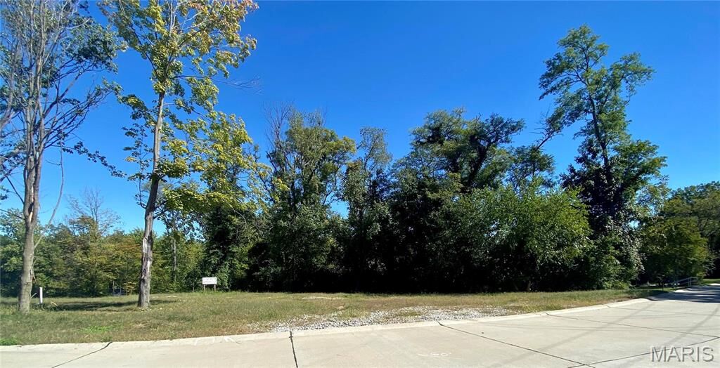 Property Photo: 2017 Lily Avenue MO 63122