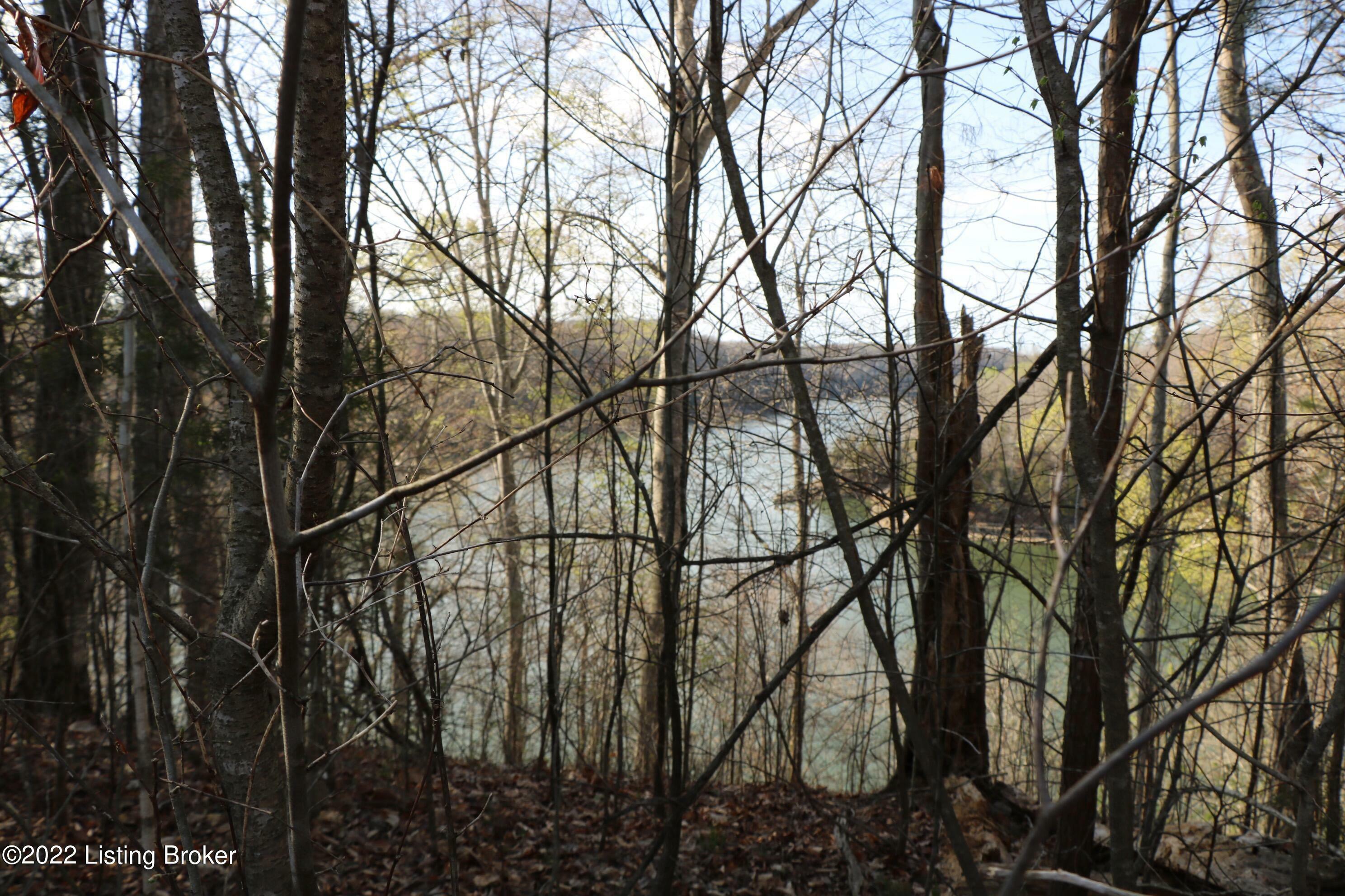 Property Photo:  Lot 6 Twin Creeks  KY 42629 