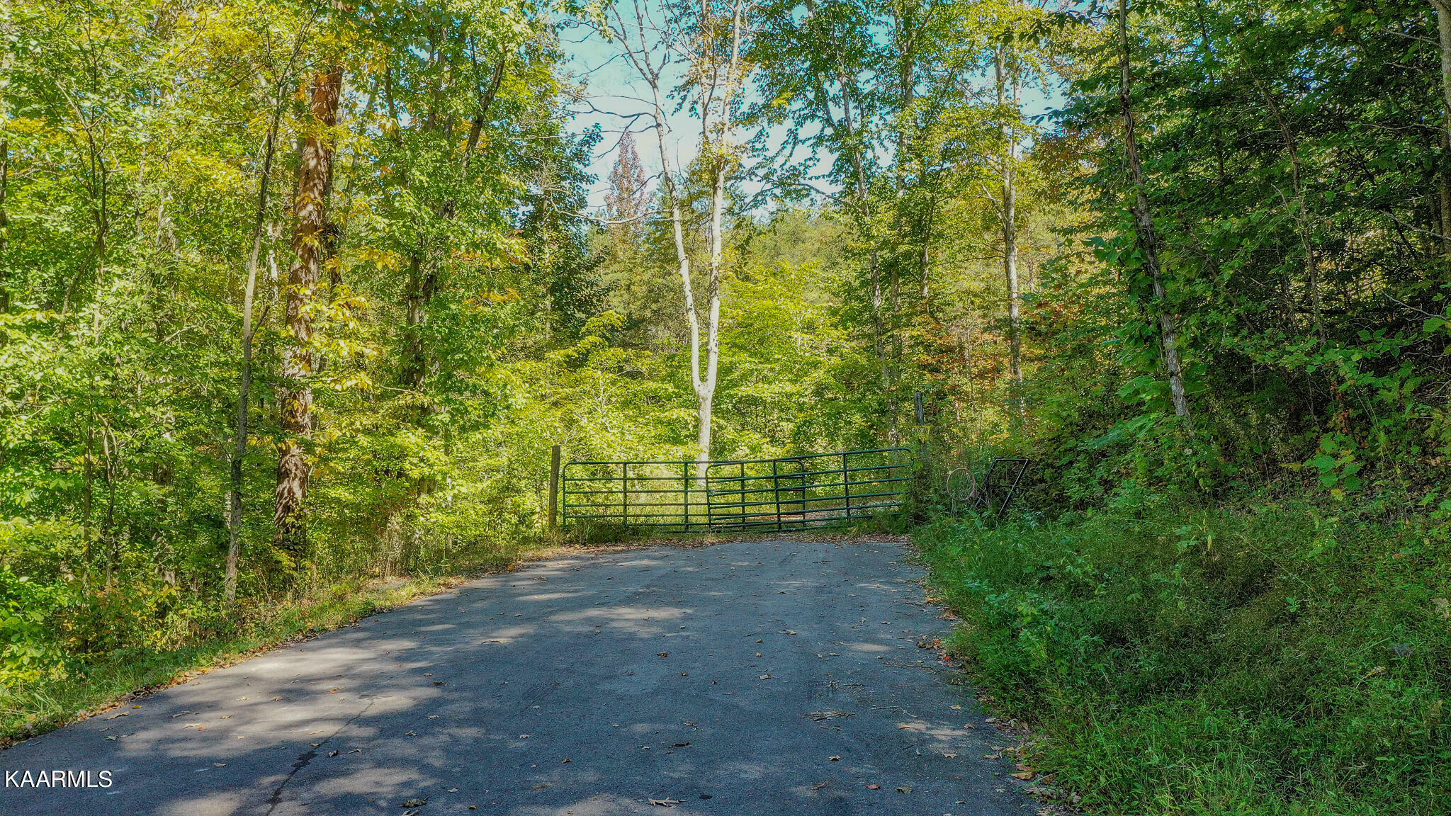 Property Photo:  Johnson Farm Rd  TN 37807 