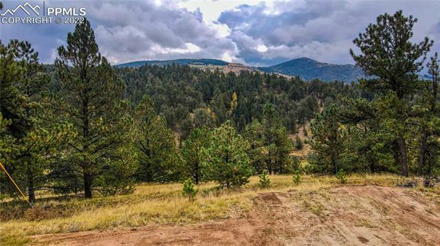 Property Photo: 118 Isabella Circle CO 80813