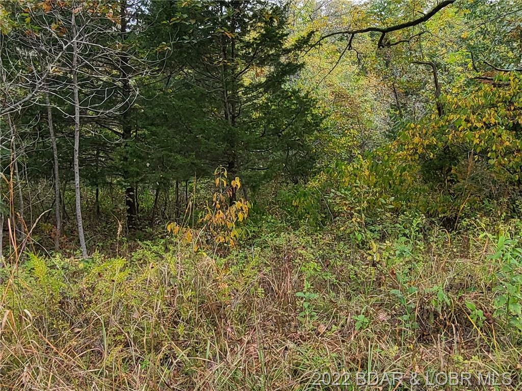 Property Photo: Tbd Le Grelle Place 2233 MO 65326