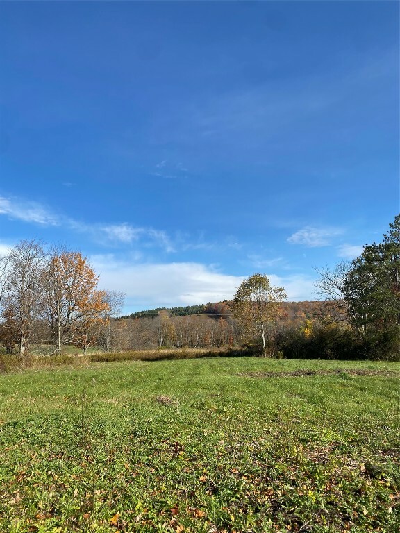 Property Photo: 0 Cooper School House Road NY 13830
