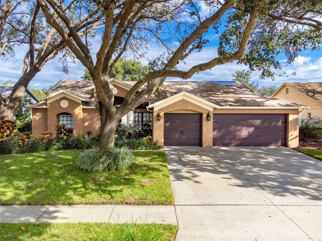 Property Photo: 12308 Windswept Avenue FL 33569