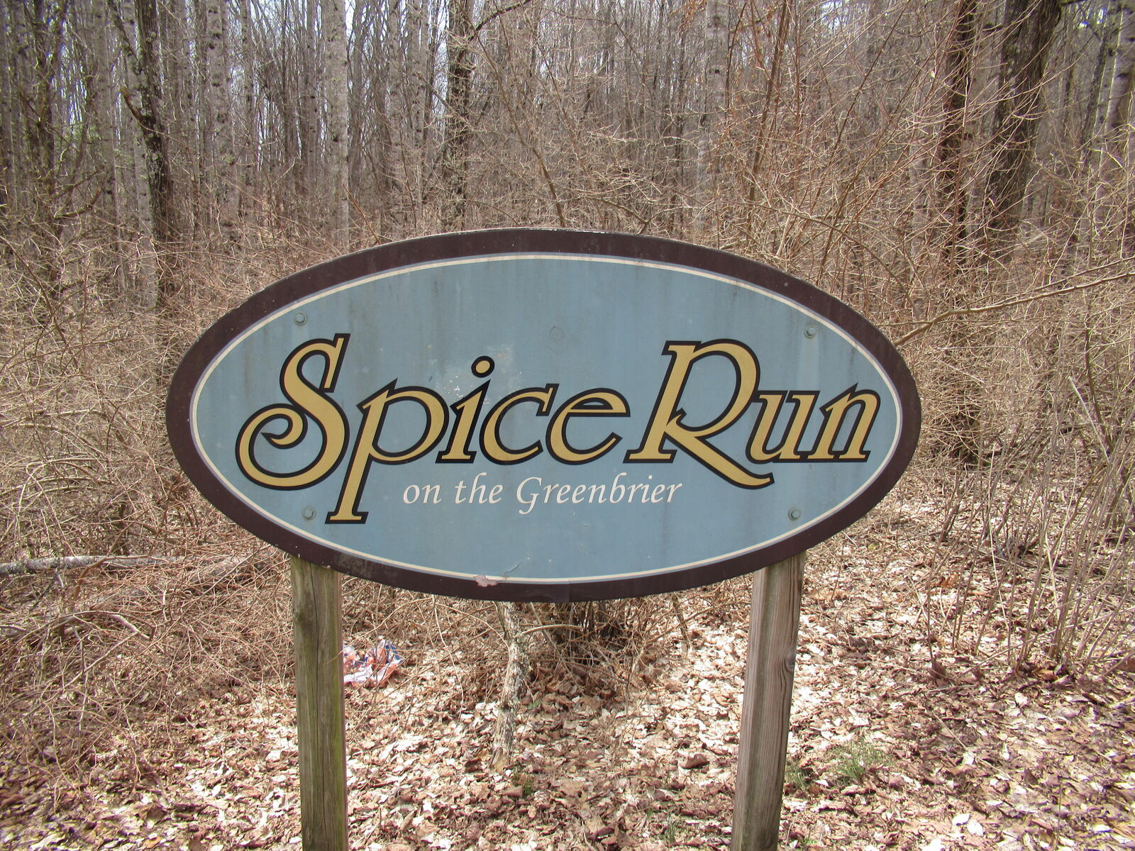 Property Photo: Lot 2 Spice Run Road WV 24946