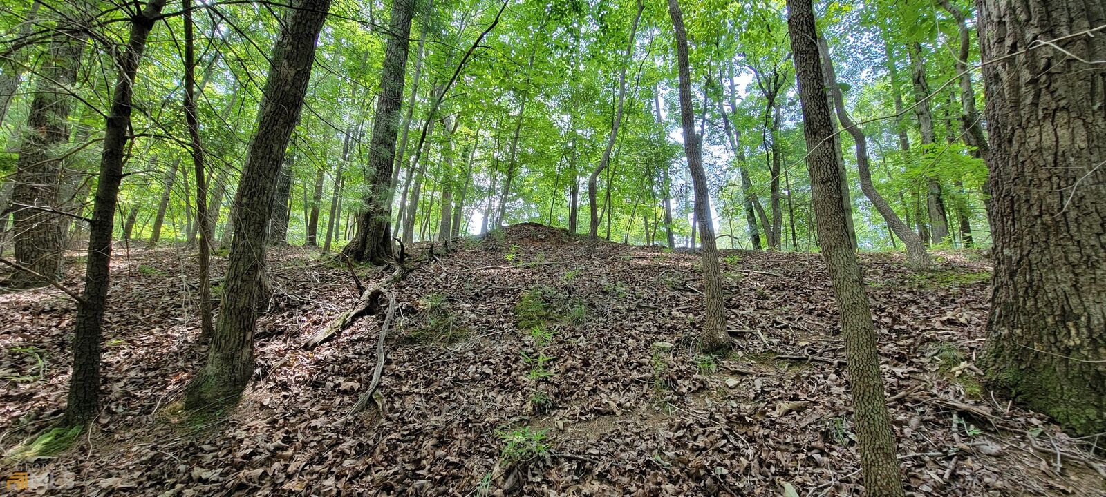 Property Photo:  Lot 516 Pinecrest Court  GA 30540 