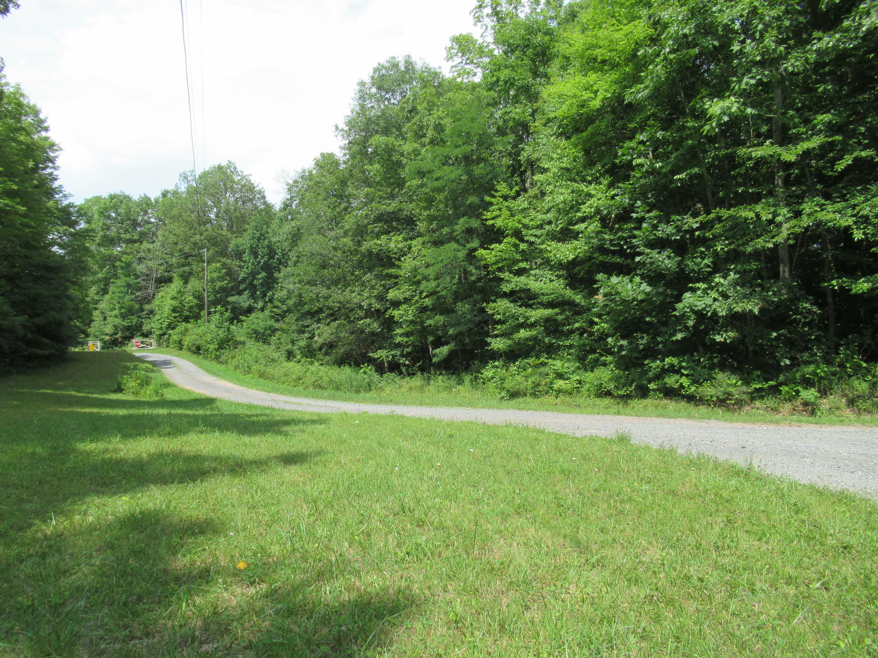 Property Photo:  Sawmill Ridge Lane  WV 24910 