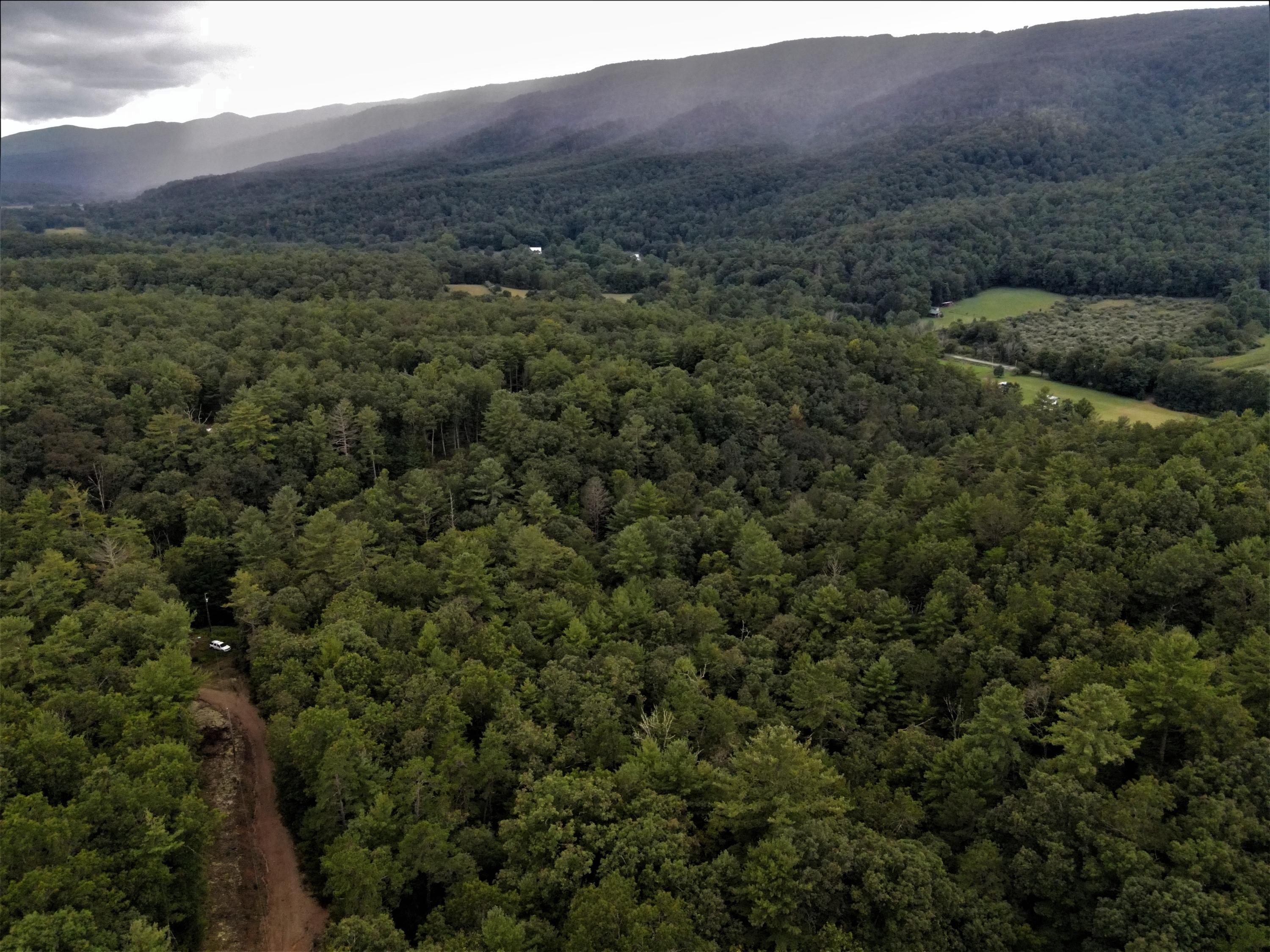 Property Photo:  Waiteville Rd  WV 24984 