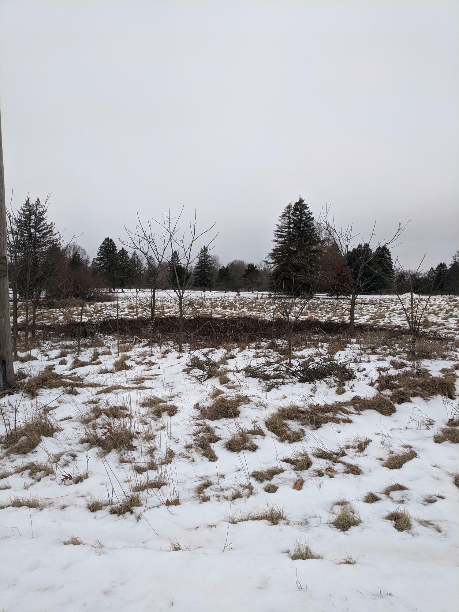 Property Photo: Johnson Road MI 49093
