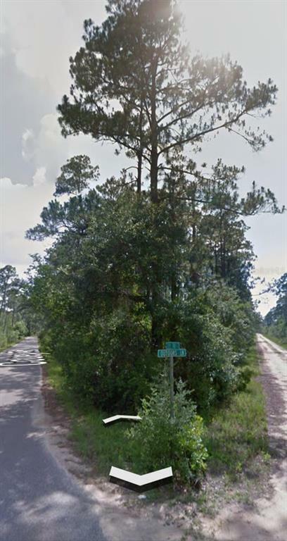 Property Photo:  000 Couey Road  FL 32583 