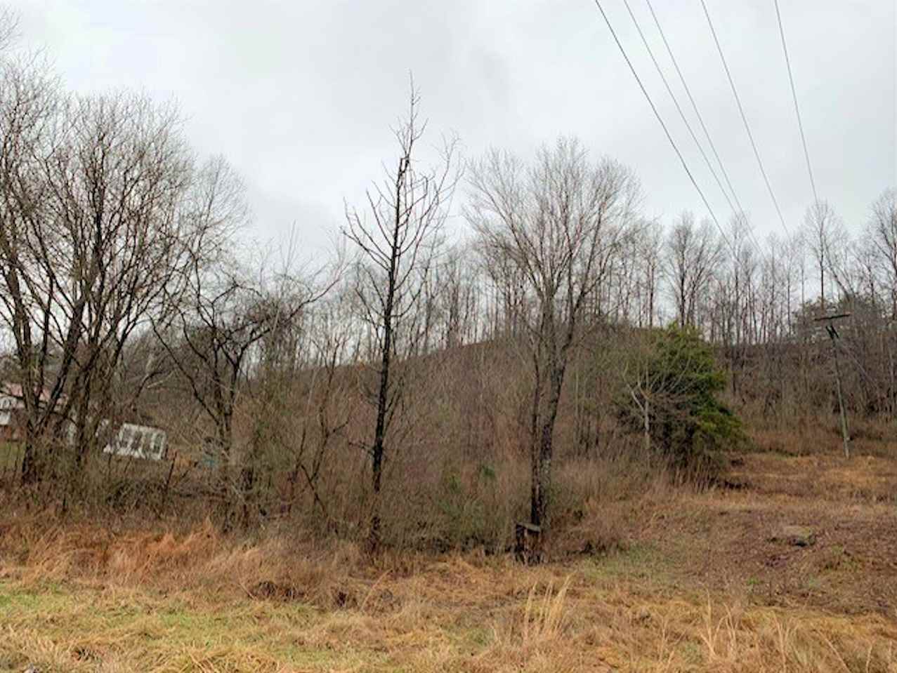 Property Photo:  1.79 Ac State Route 503  KY 41102 