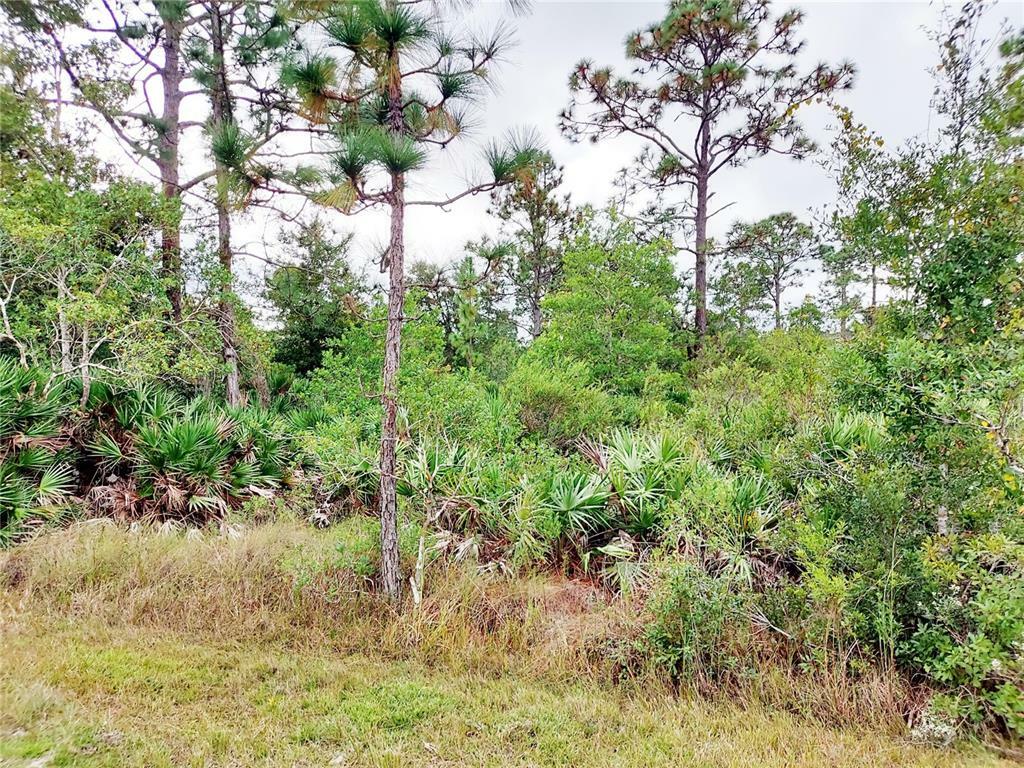 Property Photo: Ortega Street FL 32833