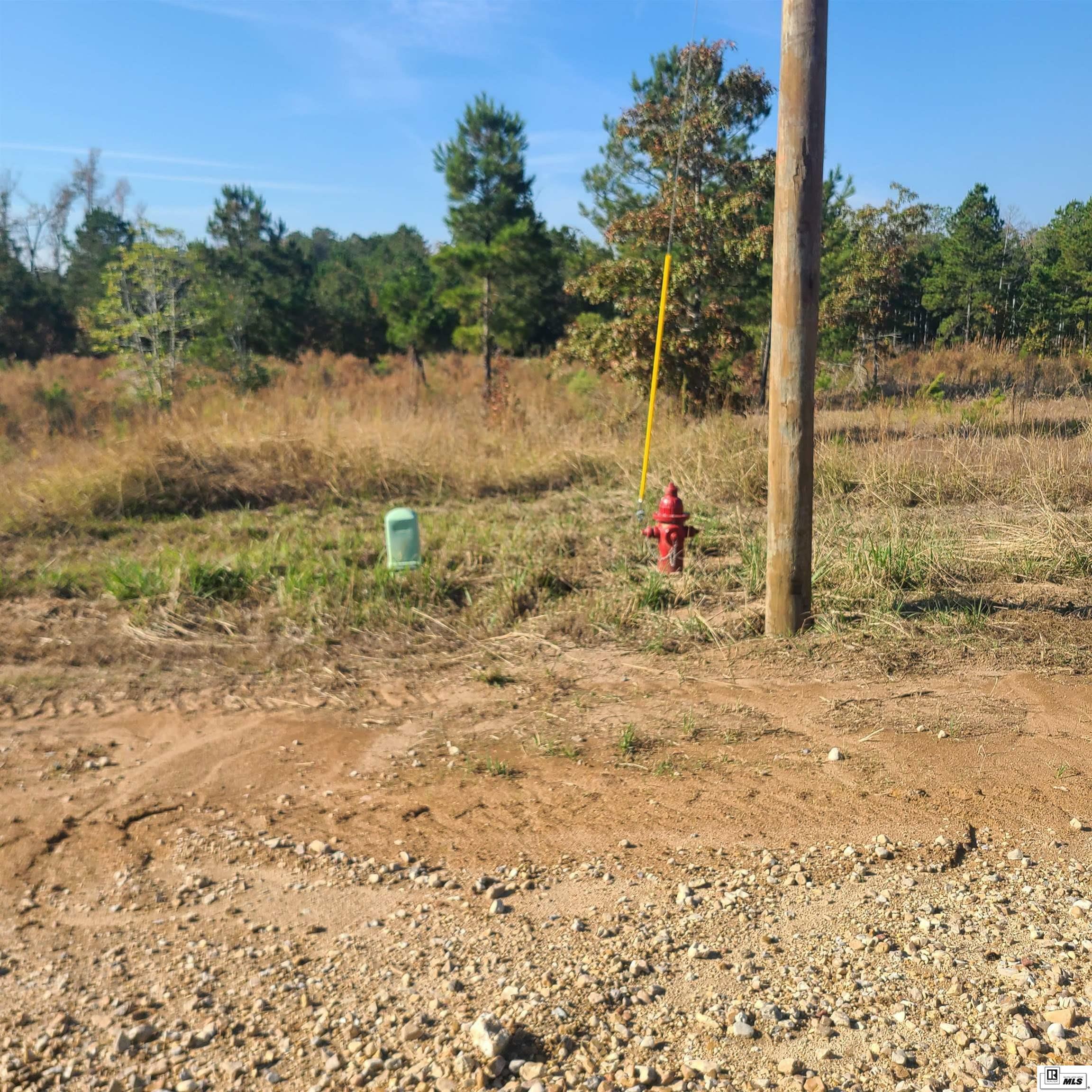 Property Photo: 364 Chief Lane LA 71225