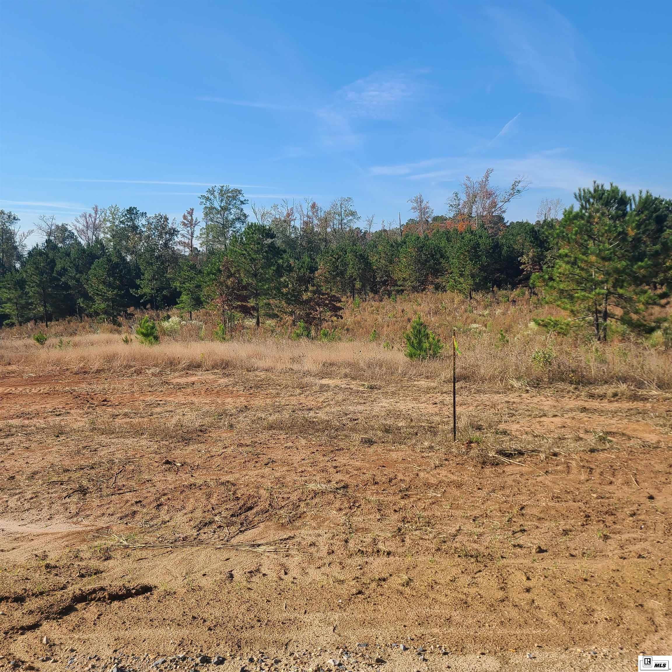 Property Photo: 235 Chief Lane LA 71225