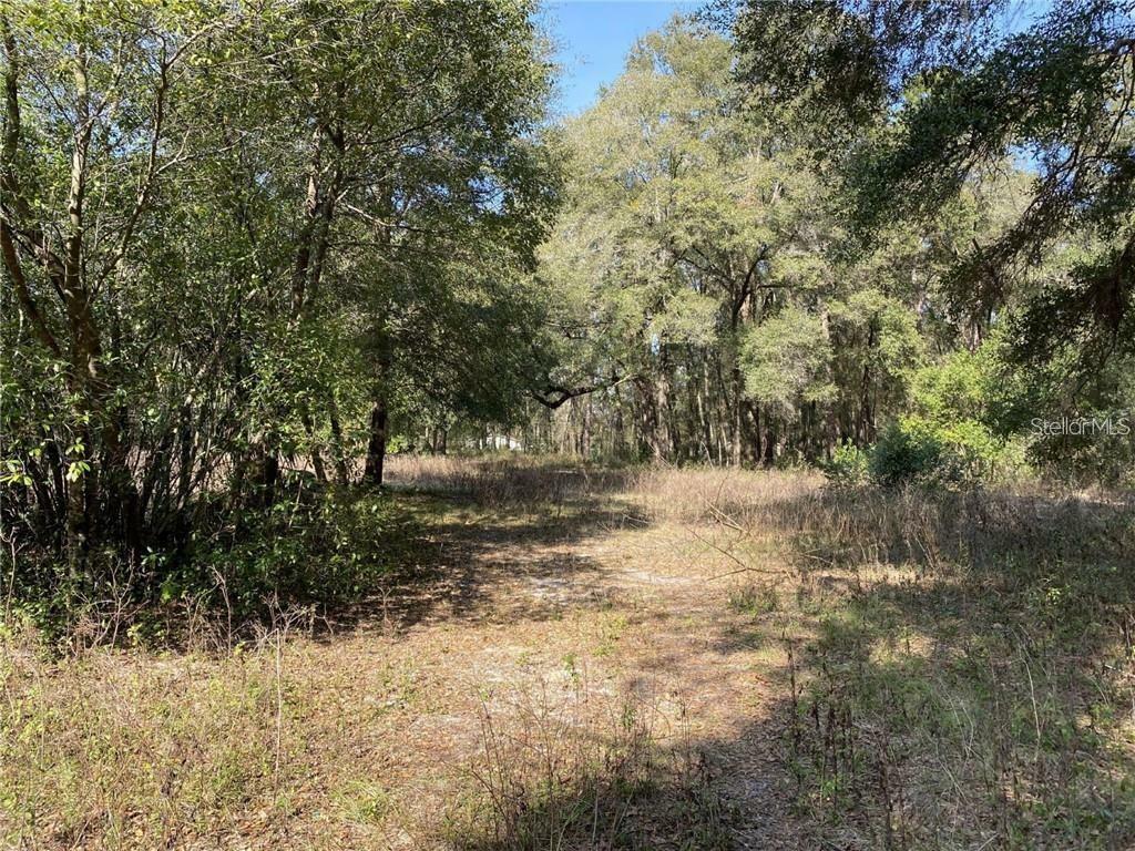 Property Photo: 0, FL 34470
