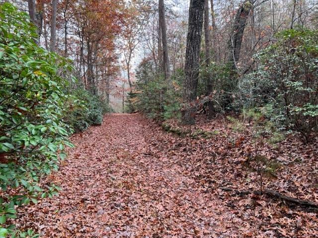 5 Acre Brady Edge Road  Dahlonega GA 30533 photo