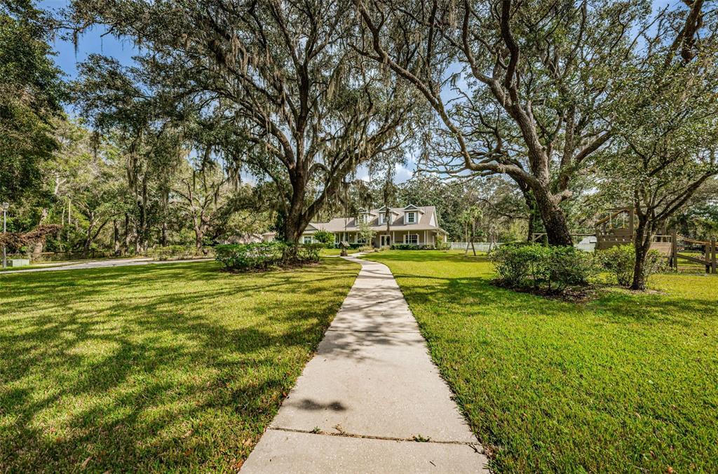 Property Photo:  10836 Thoroughbred Lane  FL 34654 