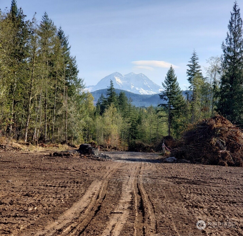 Property Photo:  49208 Alder Cutoff Road E  WA 98328 