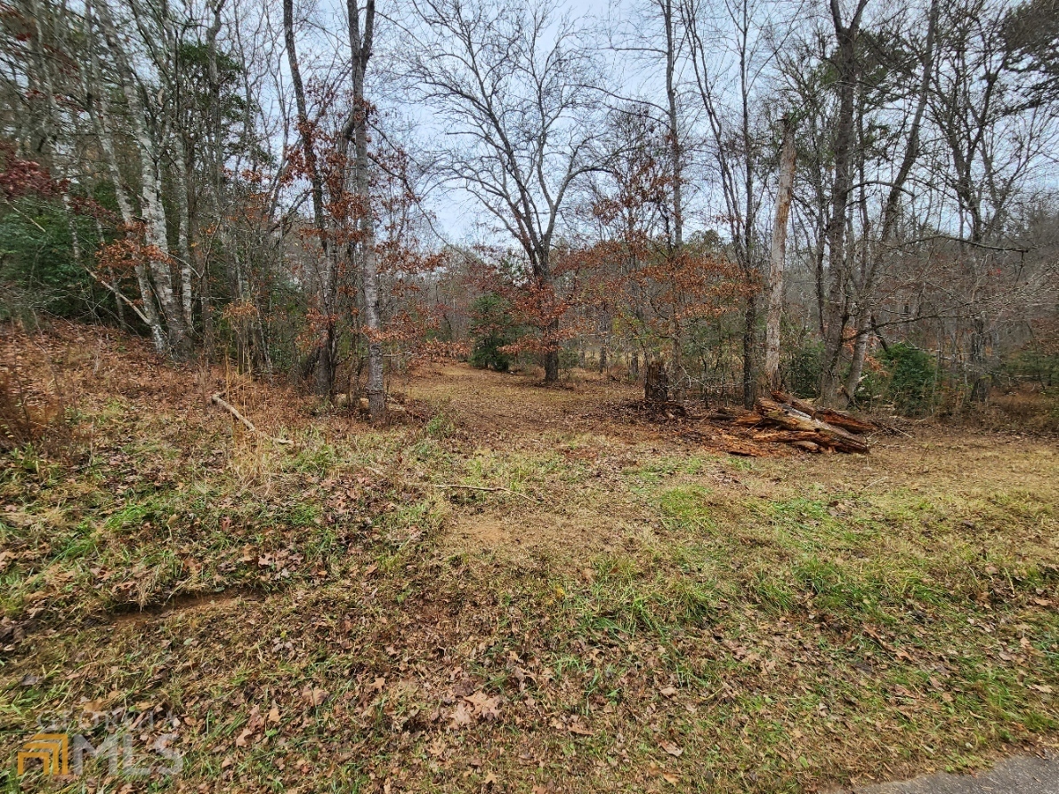 10 Ac Hardscrabble Road  Mineral Bluff GA 30559 photo