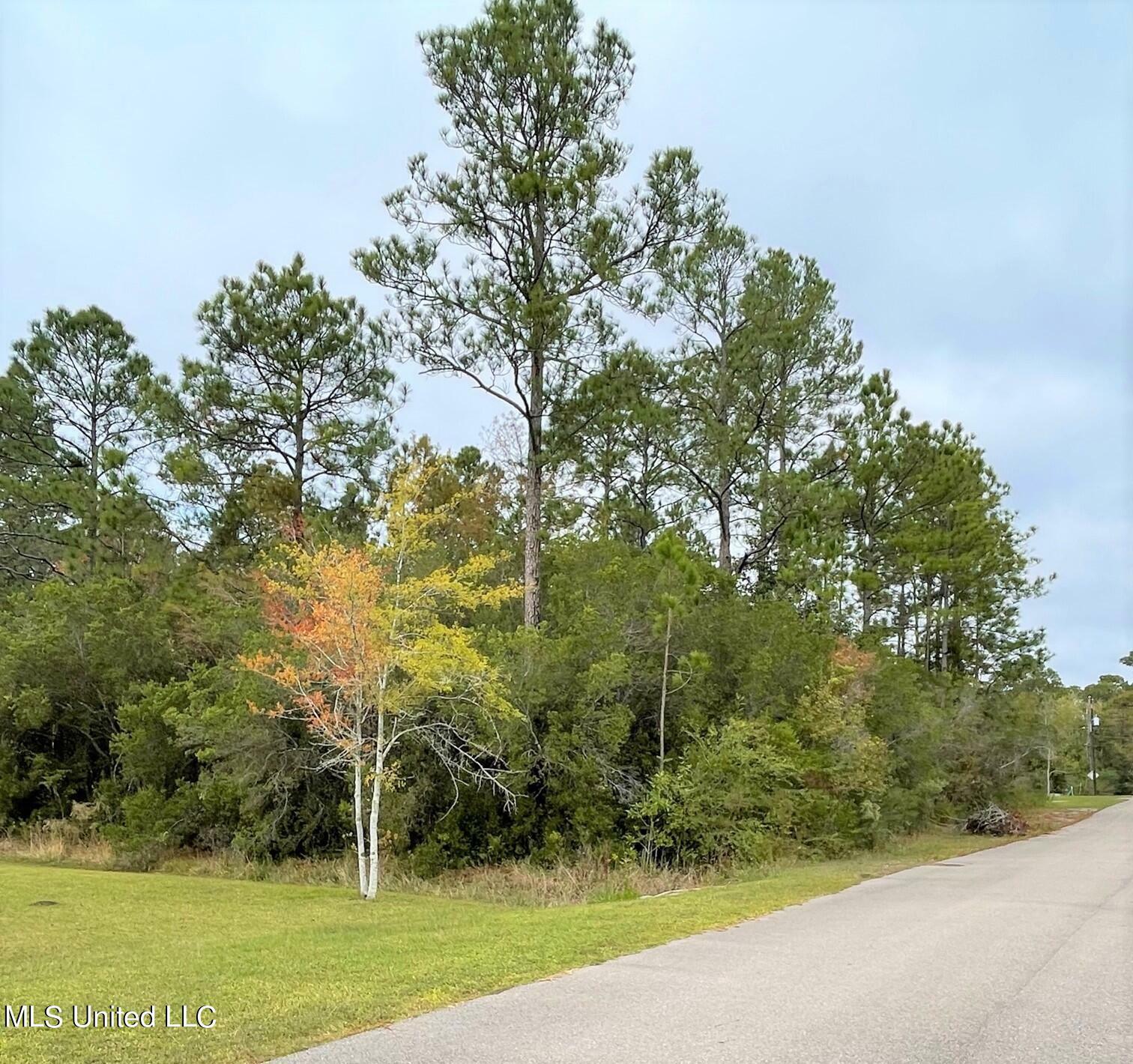 Glen Cove  Gulfport MS 39503 photo