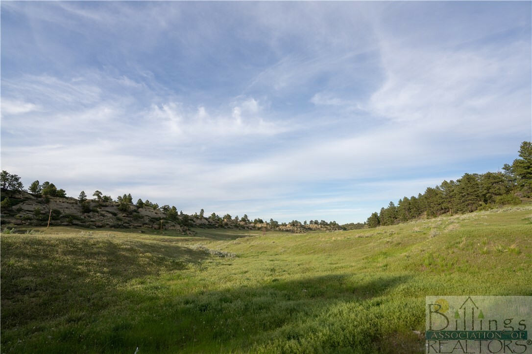 Property Photo:  Lot 3 Timbers Boulevard S  MT 59105 