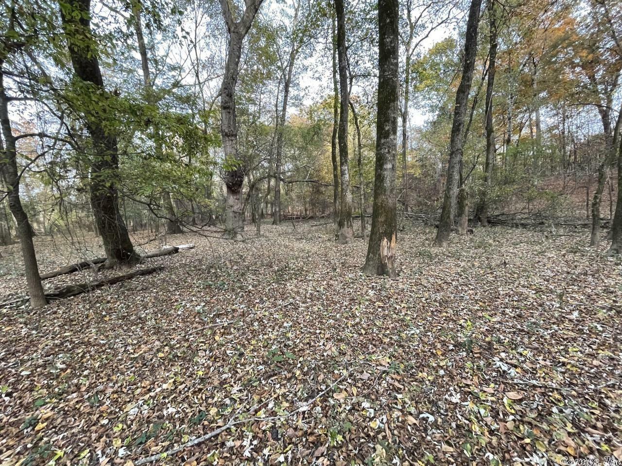 Property Photo: 00 Farm Field Road AR 72032