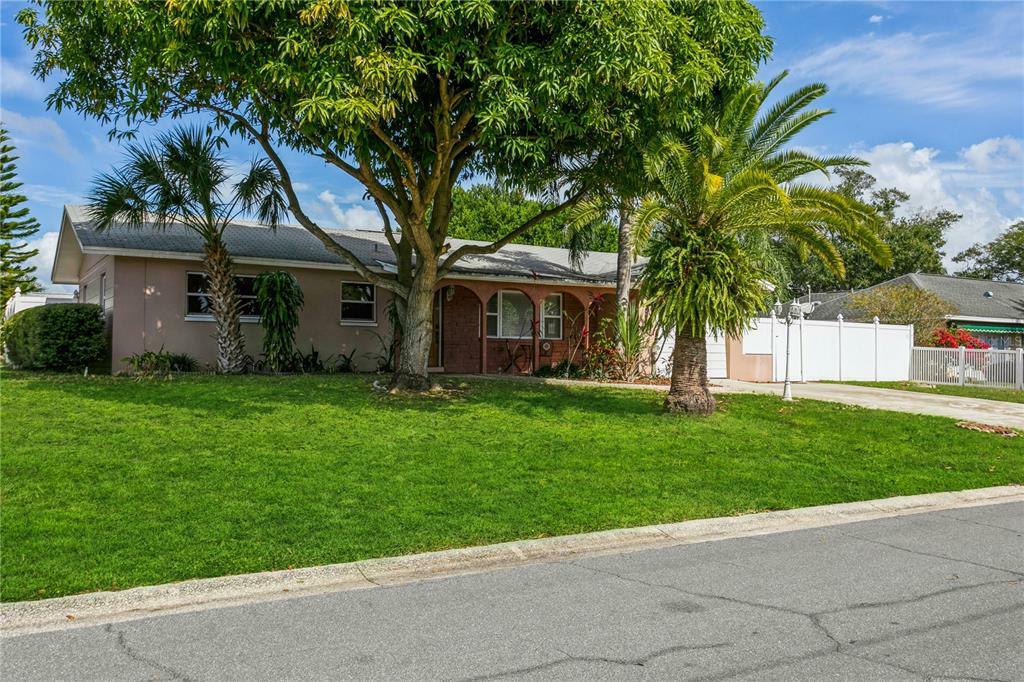 Property Photo:  2452 Brentwood Drive  FL 33764 