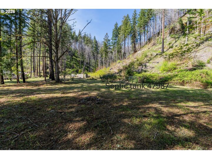Property Photo:  47987 McKenzie Hwy  OR 97488 