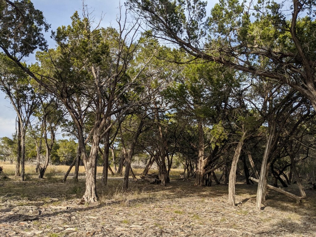 Property Photo:  Lot 52 Clearwater Canyon Road  TX 78003 