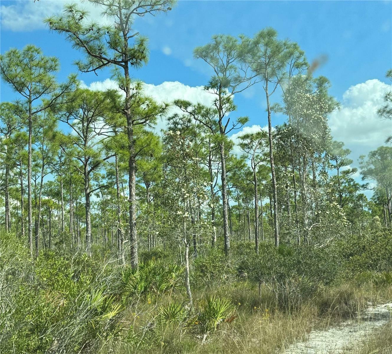 Property Photo:  17480 Burnt Store Road  FL 33955 