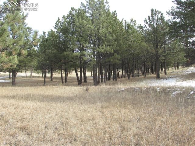Property Photo:  382 Arrowhead Drive  CO 80816 
